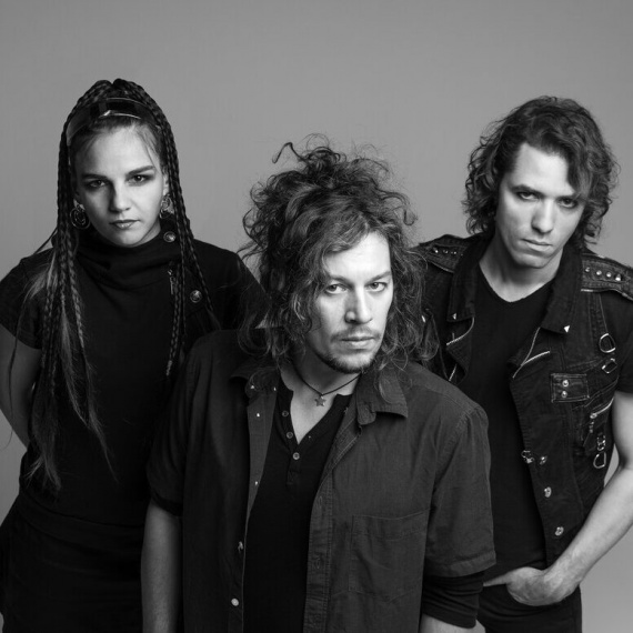 Адаптация пчёл